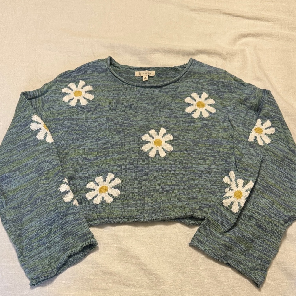 PacSun Blue Green Heathered Daisy Cropped Sweater